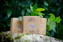 Savon d&rsquo;Alep 45% – 100g