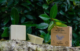 Savon d&rsquo;Alep 20% – 100g